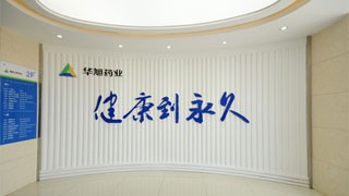 HEBEI HUAXU PHARMACEUTICAL CO.,LTD